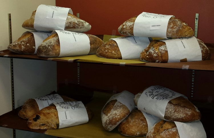 New Item: Baked Fresh Breadico Bread Daily