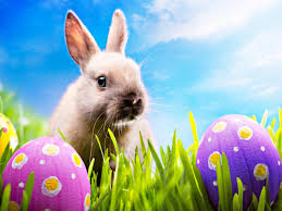 We will be closed April 5, 2015 for Easter